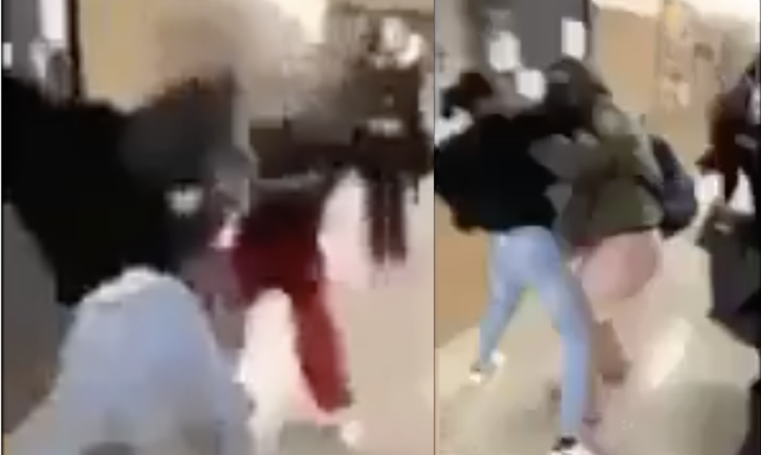 Violent Boston Latin Brawl Is End Result Of "March Toward Greater Equity" By Getting Rid Of Resource Officers And Entrance Exams - TB Daily News