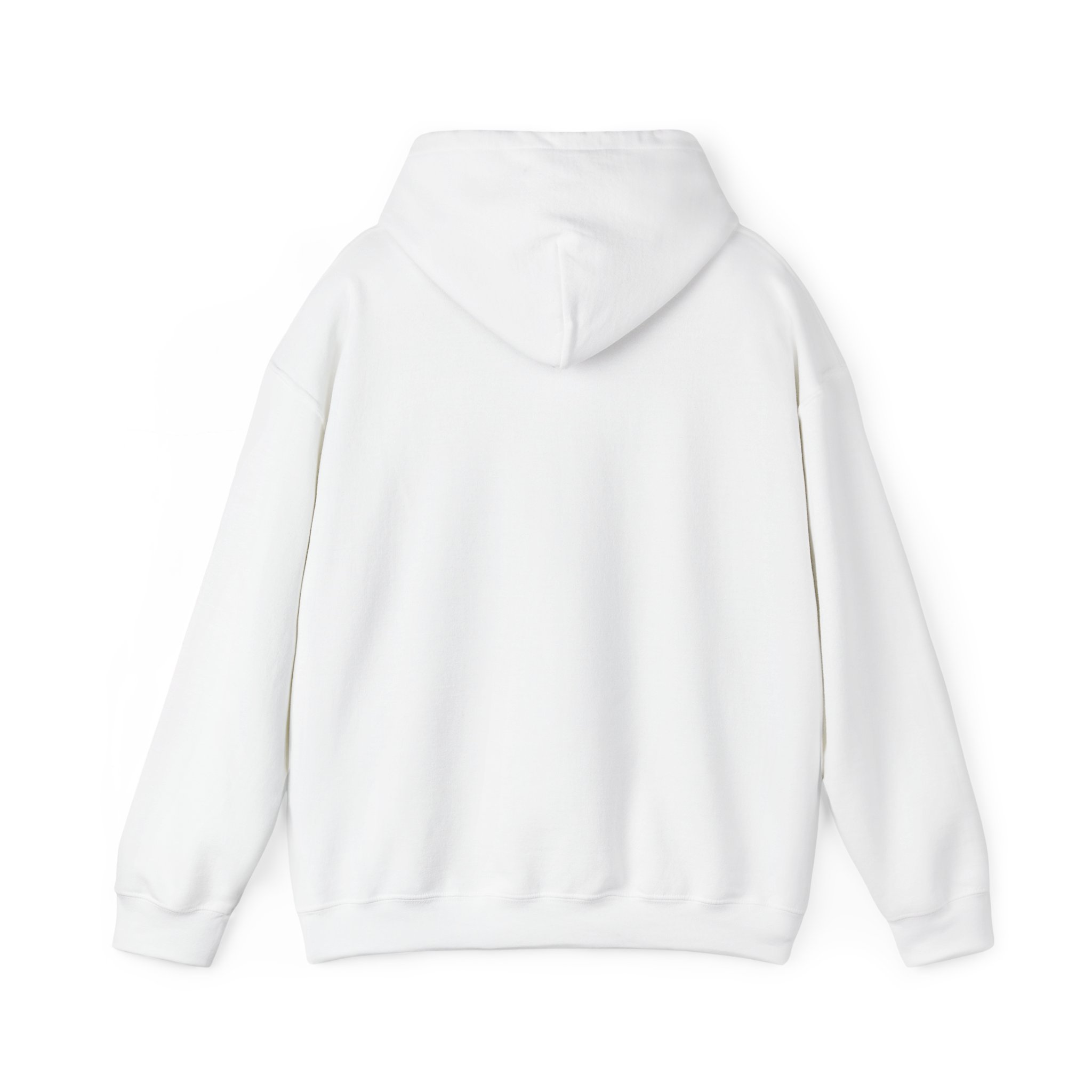 Turtleboy License Plate - Unisex Heavy Blend Hoodie - Image 22