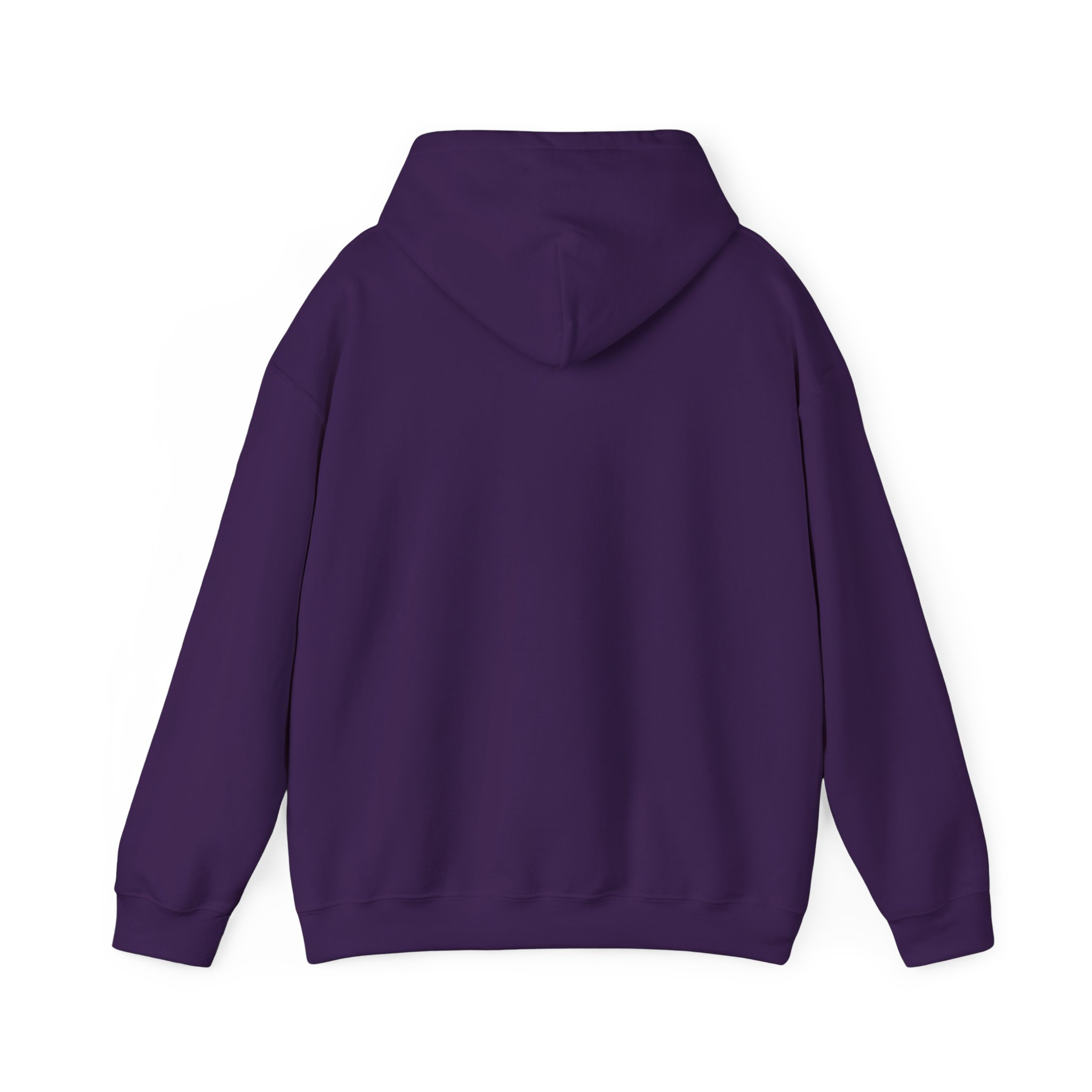 Turtleboy License Plate - Unisex Heavy Blend Hoodie - Image 14