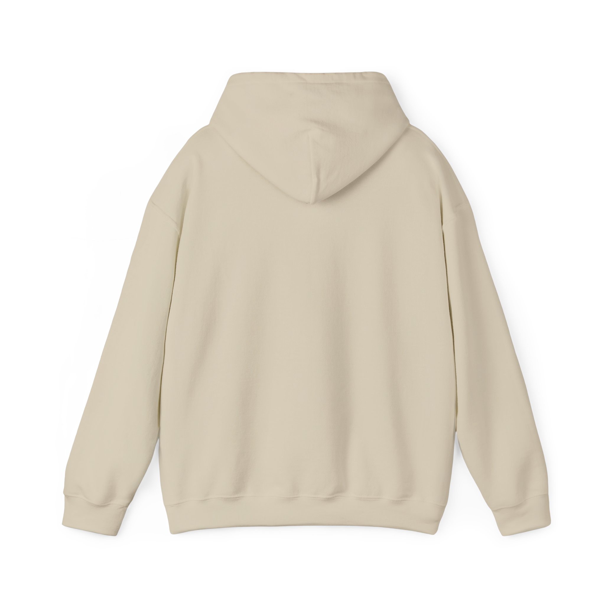 Turtleboy License Plate - Unisex Heavy Blend Hoodie - Image 26