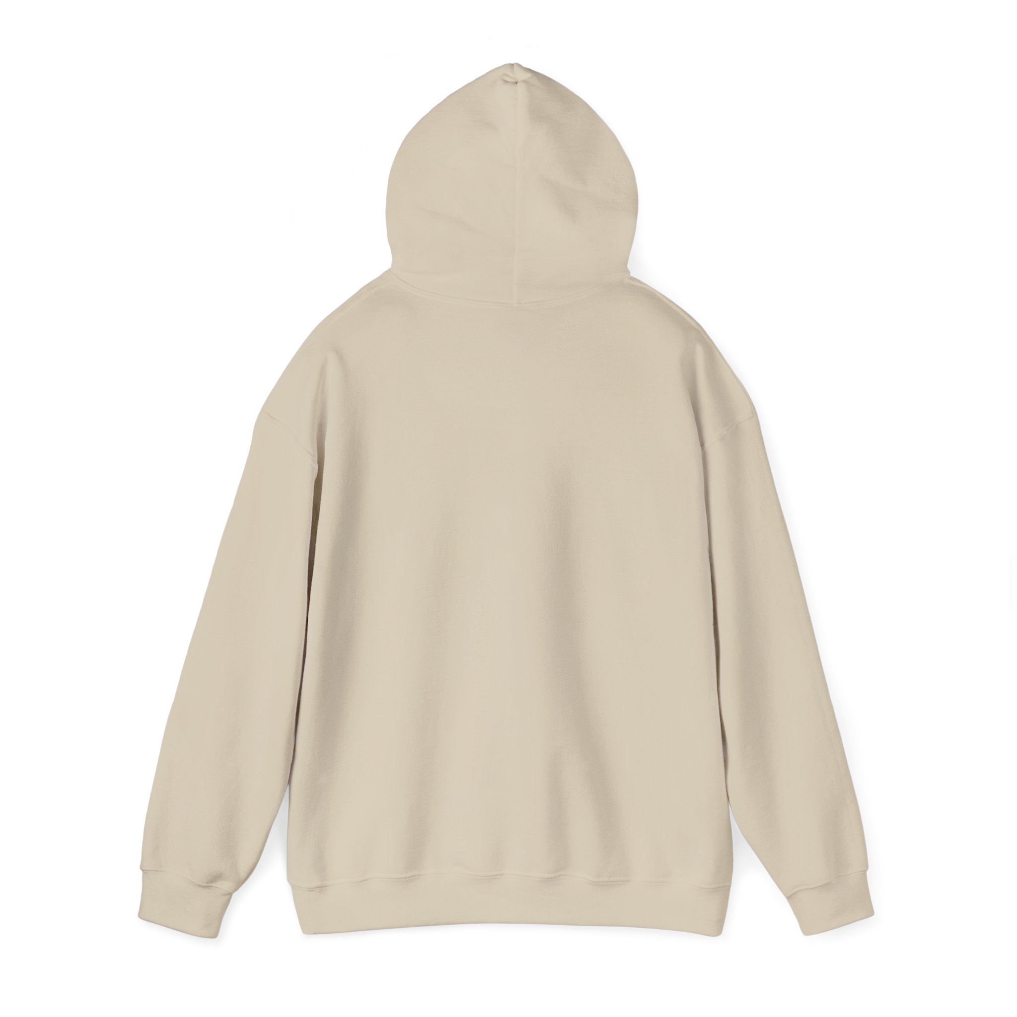 Turtleboy License Plate - Unisex Heavy Blend Hoodie - Image 27
