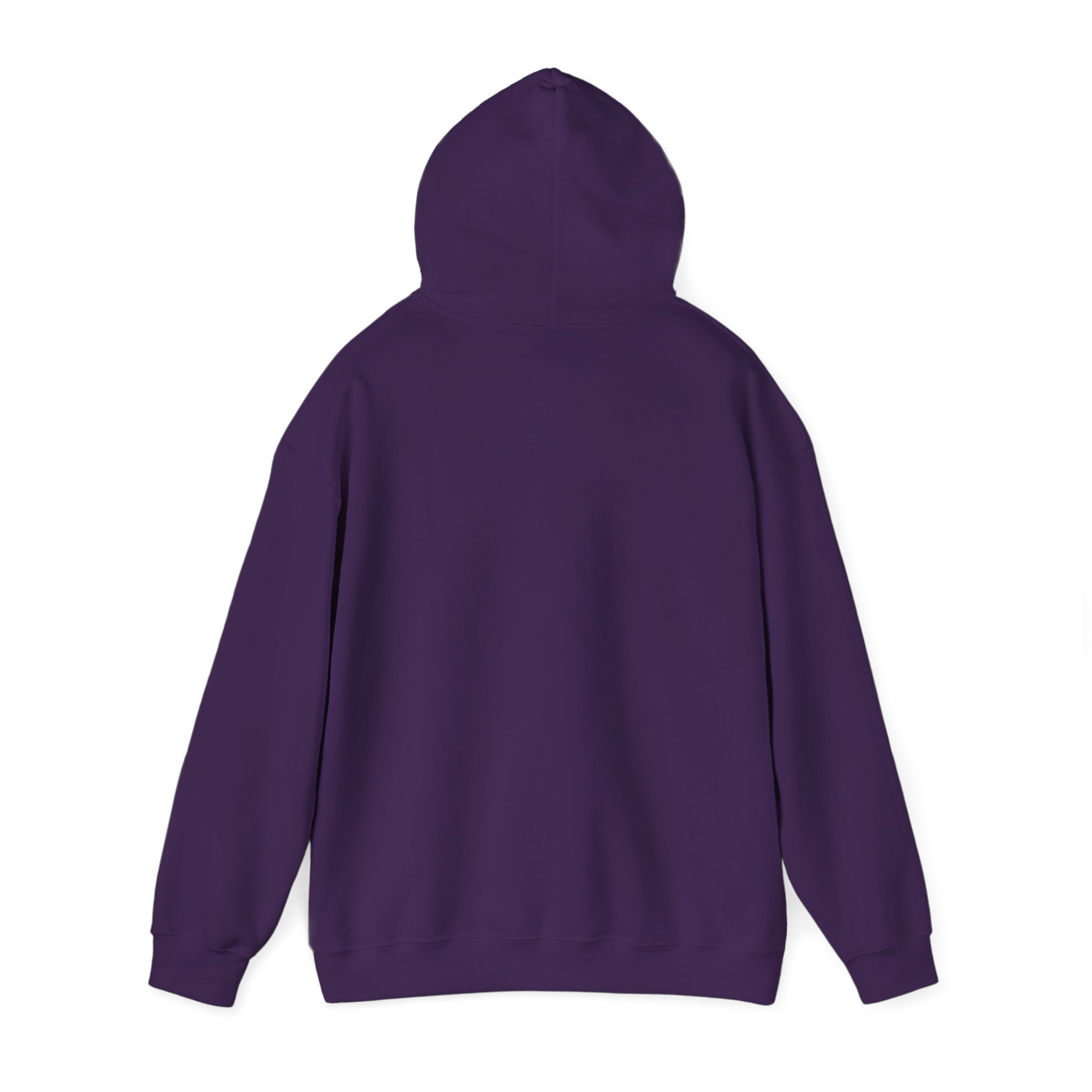 Turtleboy License Plate - Unisex Heavy Blend Hoodie - Image 15