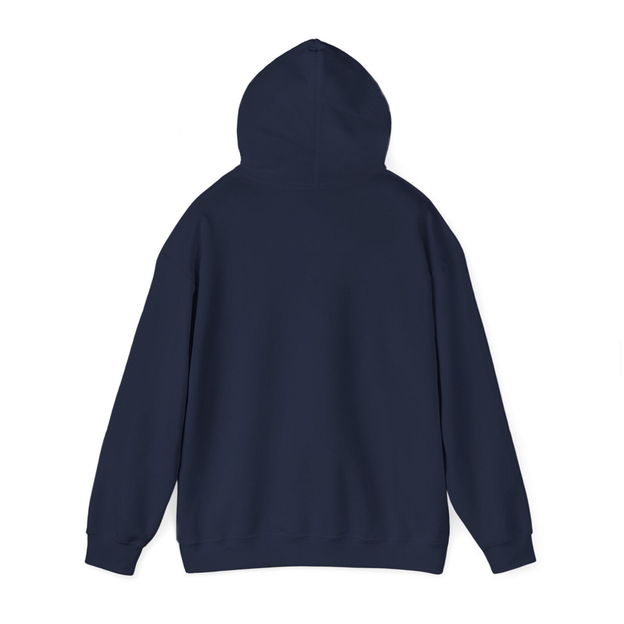 Turtleboy License Plate - Unisex Heavy Blend Hoodie - Image 19