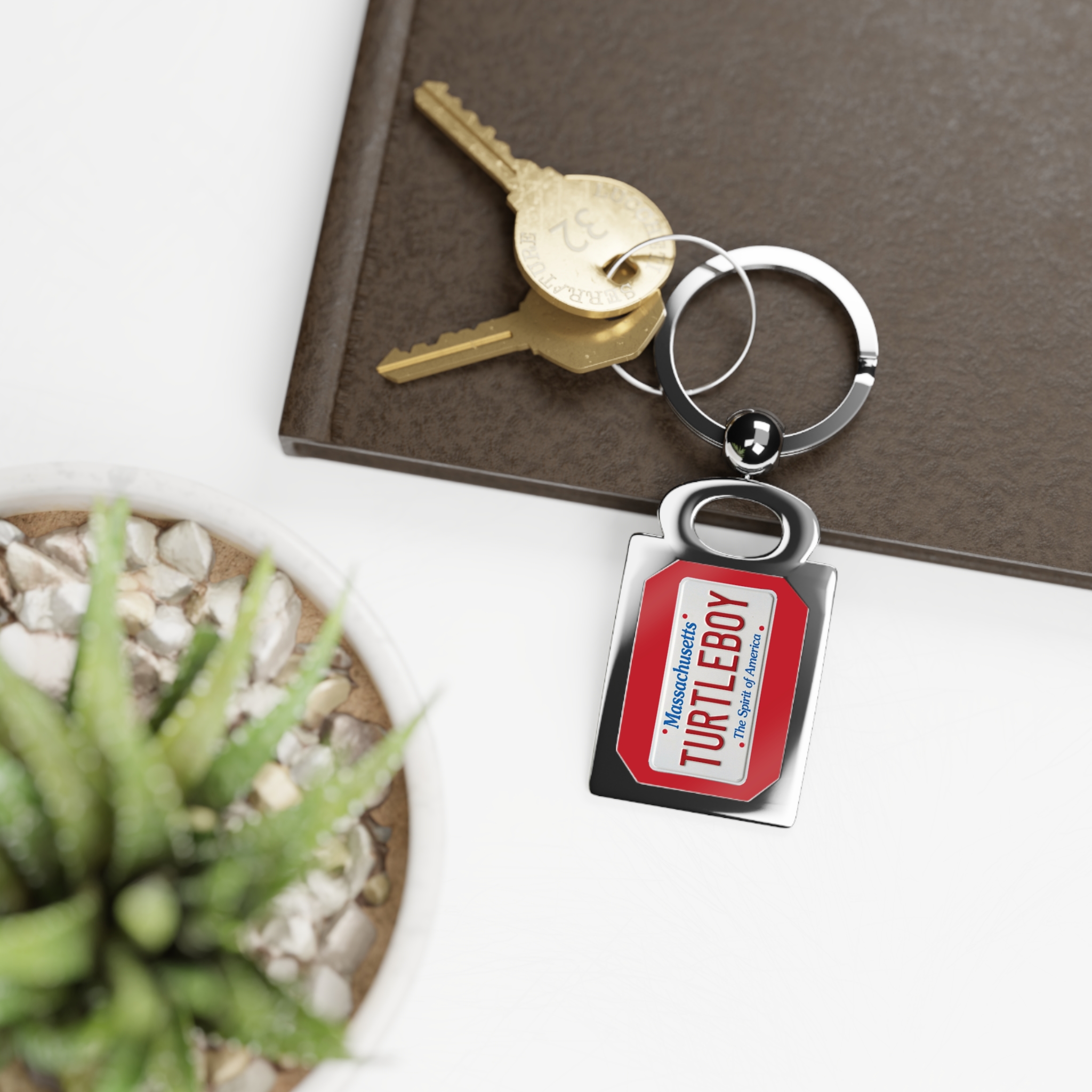 Turtleboy License Plate - Rectangle Keyring - Image 4