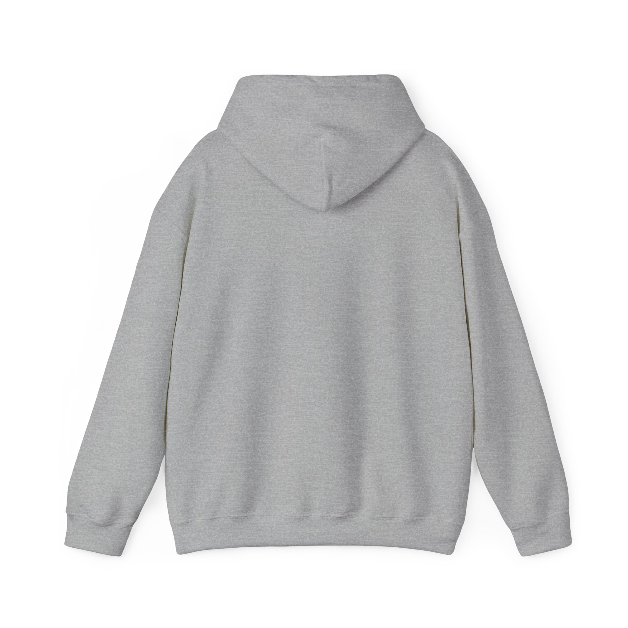 Turtleboy License Plate - Unisex Heavy Blend Hoodie - Image 30