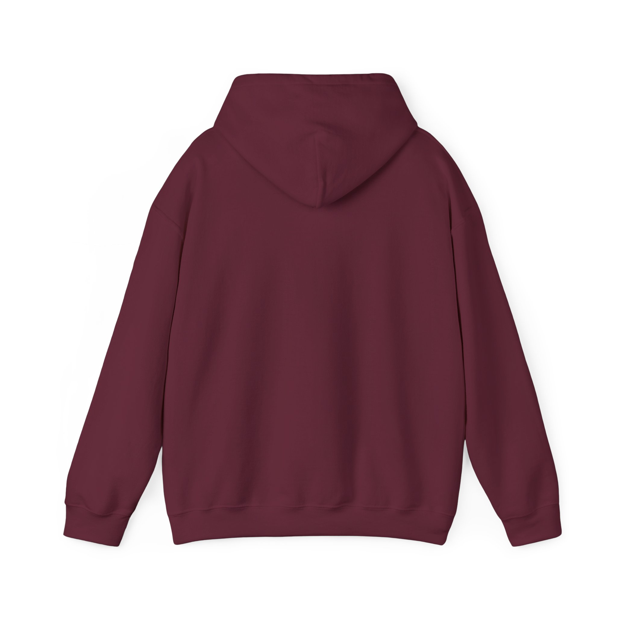 Turtleboy License Plate - Unisex Heavy Blend Hoodie - Image 38