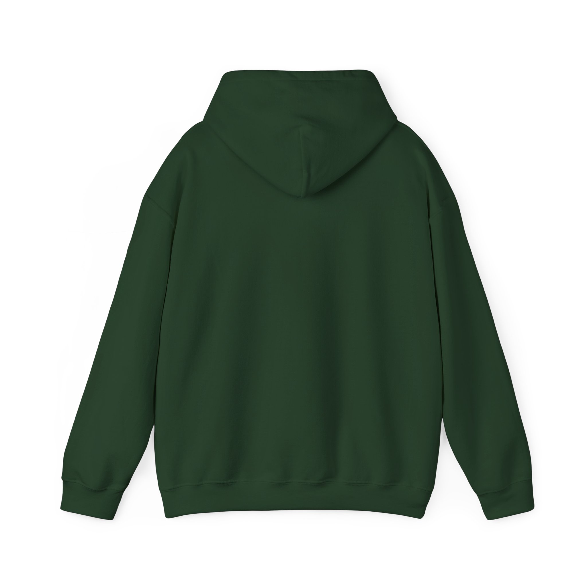Turtleboy License Plate - Unisex Heavy Blend Hoodie - Image 42