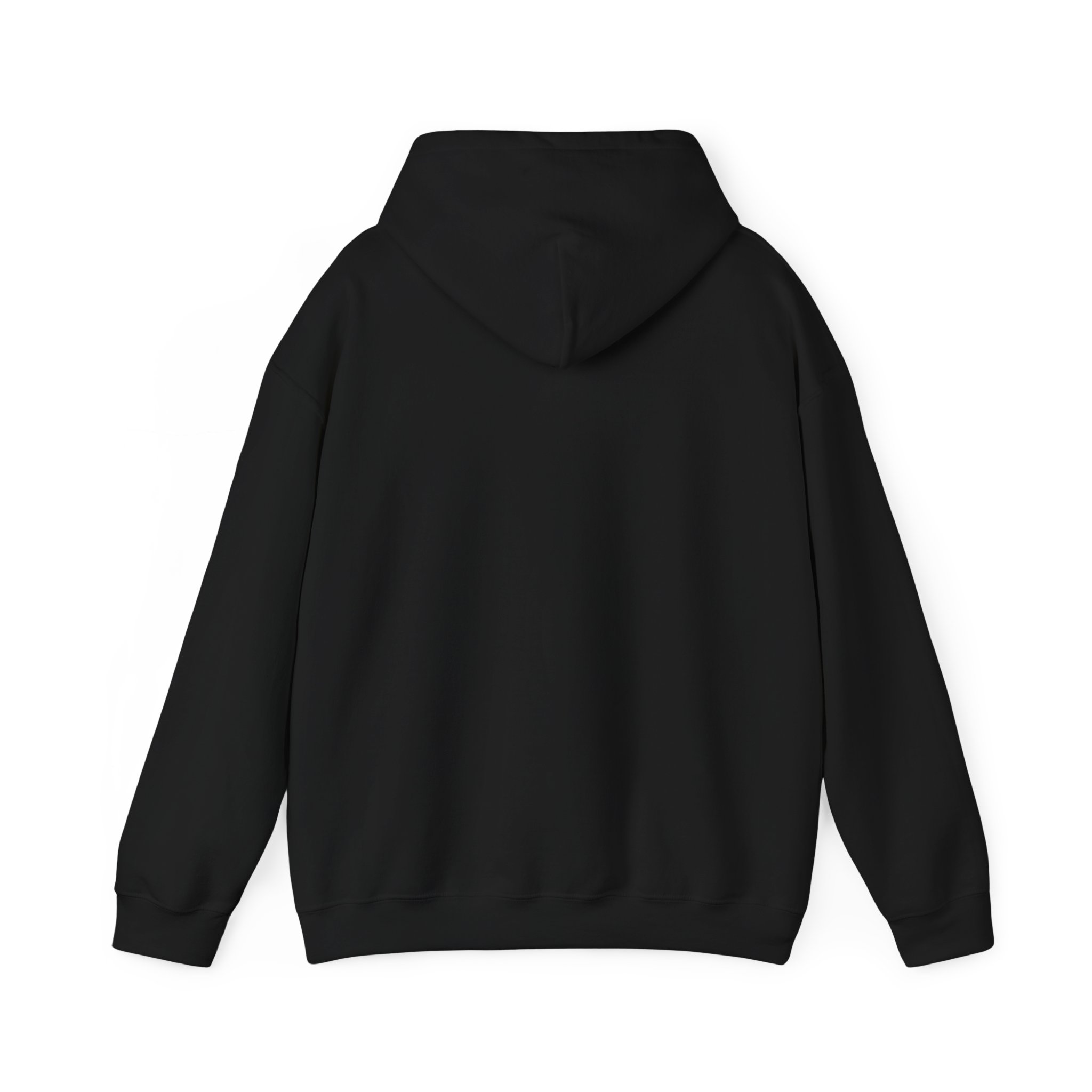 Turtleboy License Plate - Unisex Heavy Blend Hoodie - Image 10
