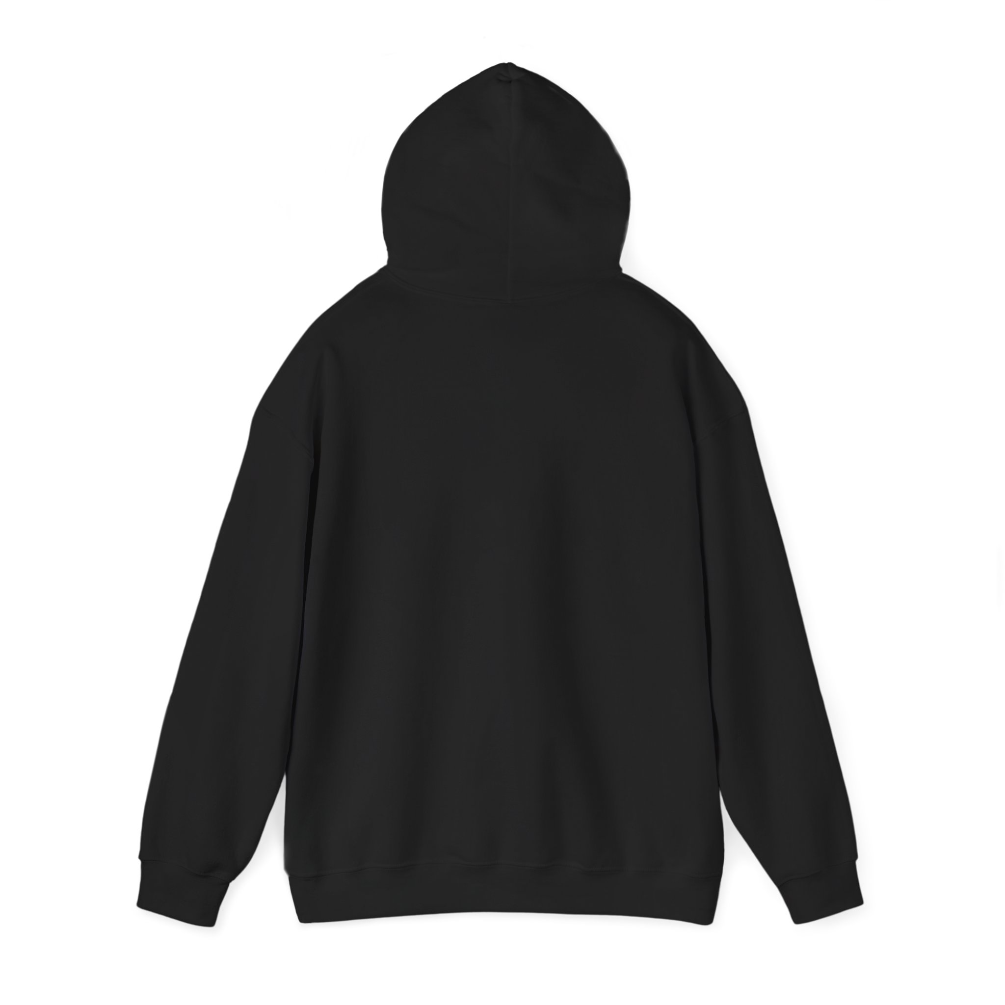 Turtleboy License Plate - Unisex Heavy Blend Hoodie - Image 11