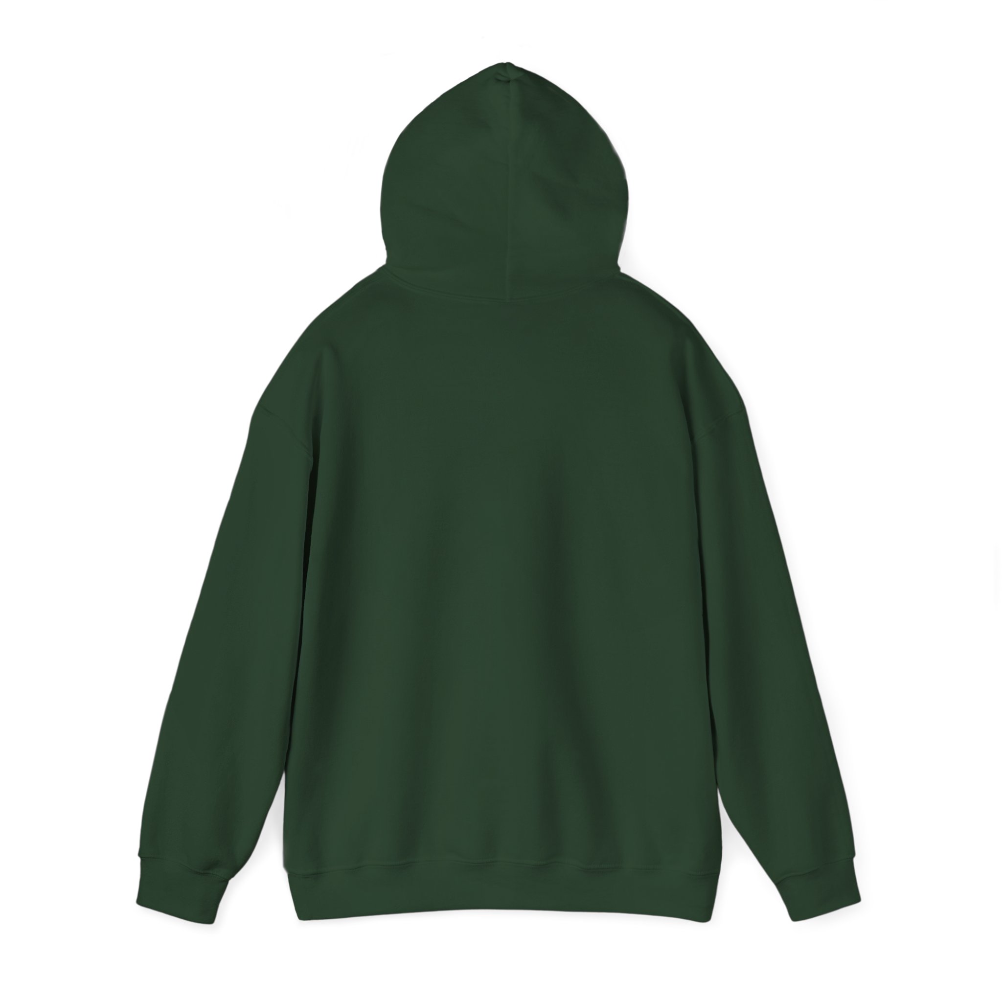 Turtleboy License Plate - Unisex Heavy Blend Hoodie - Image 43