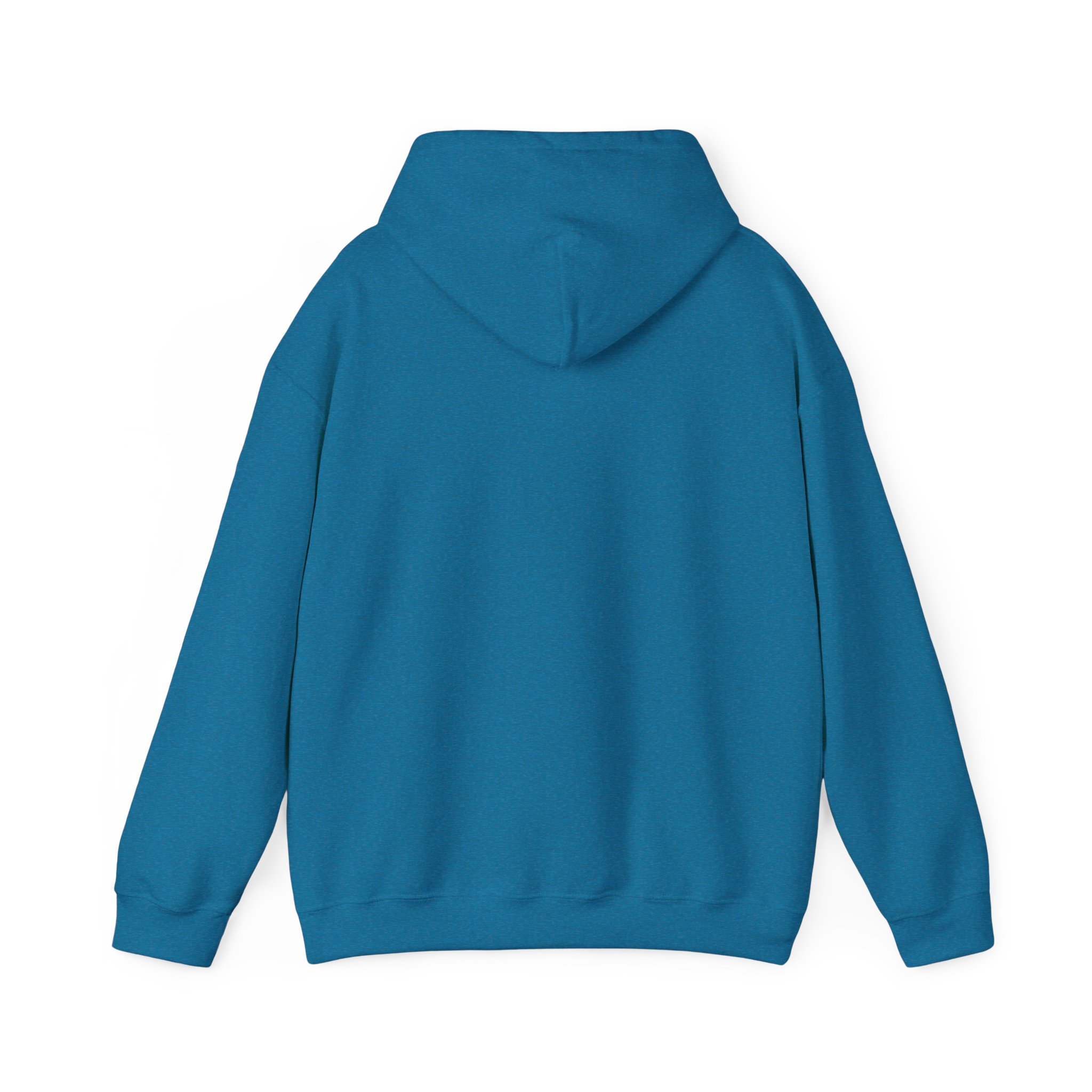 Turtleboy License Plate - Unisex Heavy Blend Hoodie - Image 2