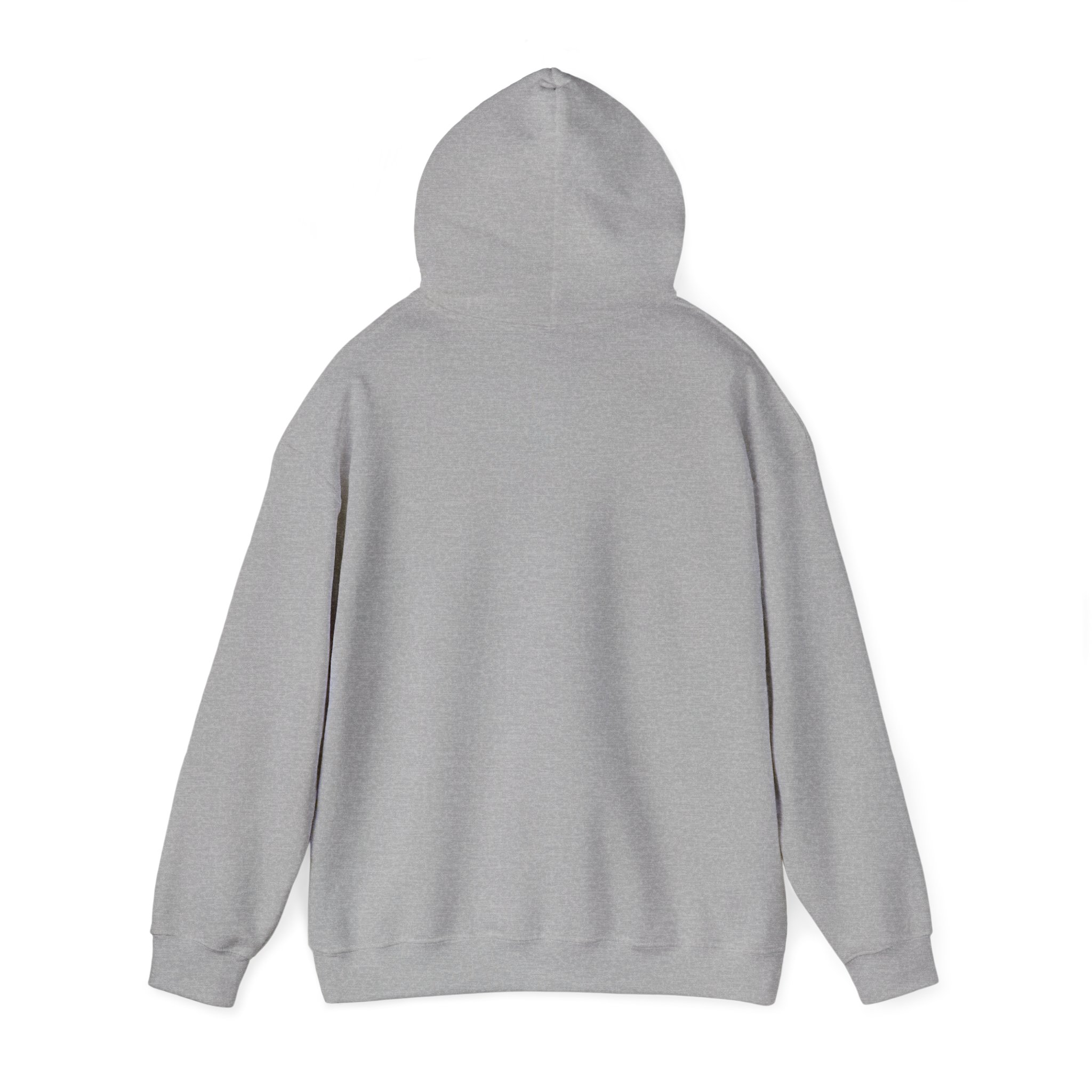 Turtleboy License Plate - Unisex Heavy Blend Hoodie - Image 31
